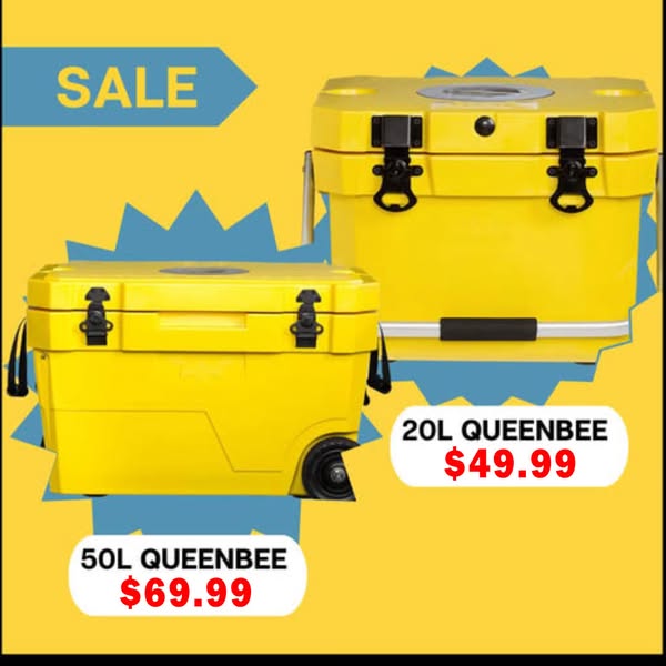 Glacières QueenBee 20L et 50L