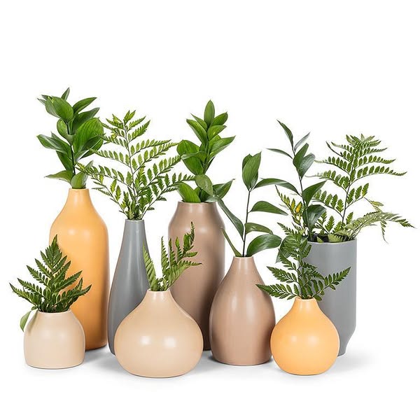 Vases décoratifs en céramique Abbott Collection