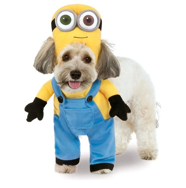 Vente spéciale Halloween - costumes et accessoires