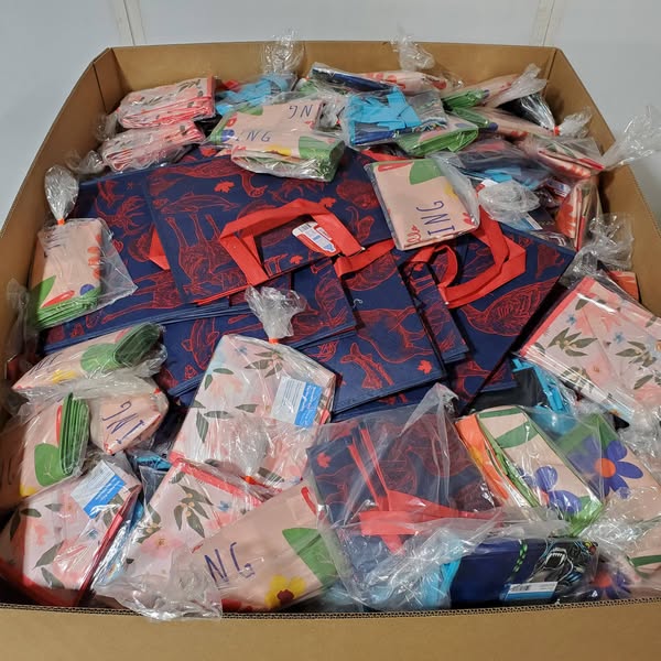 Lot de 1118 sacs reutilisables Spring 2025