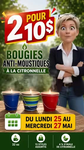 Bougies anti-moustiques à la citronnelle