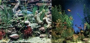 Penn-Plax, 2 sided Background, Up to 29 Gallons