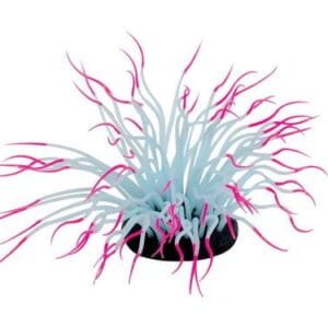 Penn-Plax, Pink Sea Anemone, Pink Sea Anemone